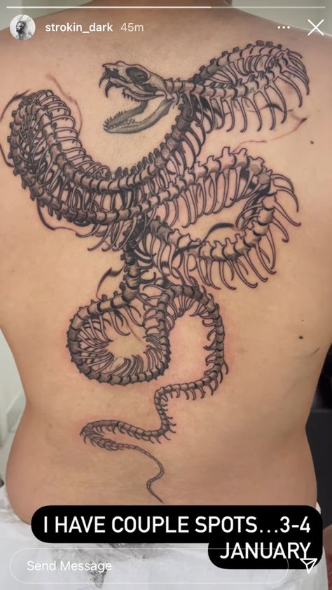 Skeleton Snake Tattoo Design, Snake Tattoos Skeleton, Snake Skeleton Tattoo Back, Rattlesnake Skeleton Tattoo, Cobra Skeleton Tattoo, Reptile Sleeve Tattoo, Snake Skeleton Art, Snake Skeleton Spine Tattoo, Skeletal Snake Tattoo