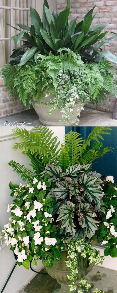 How to create beautiful shade garden pots using easy to grow plants with showy foliage and flowers. And plant lists for all 16 container planting designs! Container Gardening Flowers, Outdoor Pots, Garden Containers, Container Flowers, Shade Plants, Lawn And Garden, Shade Garden, Container Plants, Outdoor Plants