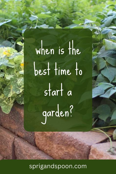 When To Start A Garden, When To Start Your Garden, First Garden How To Start Your, First Time Garden, Garden Schedule, Gardening 2023, Gardening Knowledge, Start A Garden, Planting Calendar