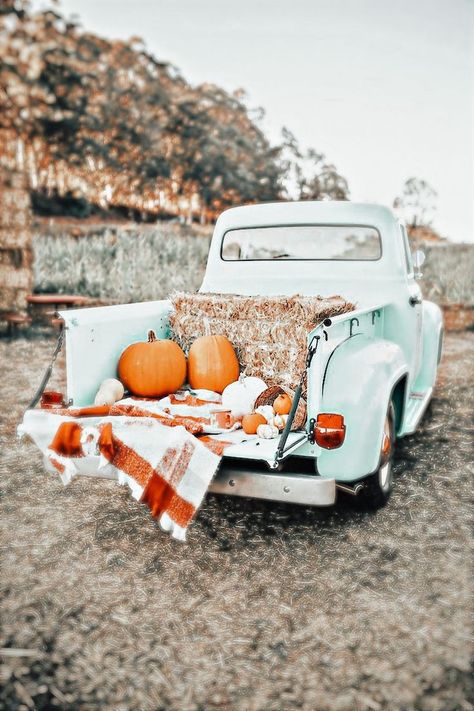 Fall Decor 2022, Throw Pillows And Blankets, Colourful Leaves, Fall Decor Ideas, Pumpkin Fall Decor, Pumpkin Fall, A Pumpkin, Diy Wreath, Way Of Life