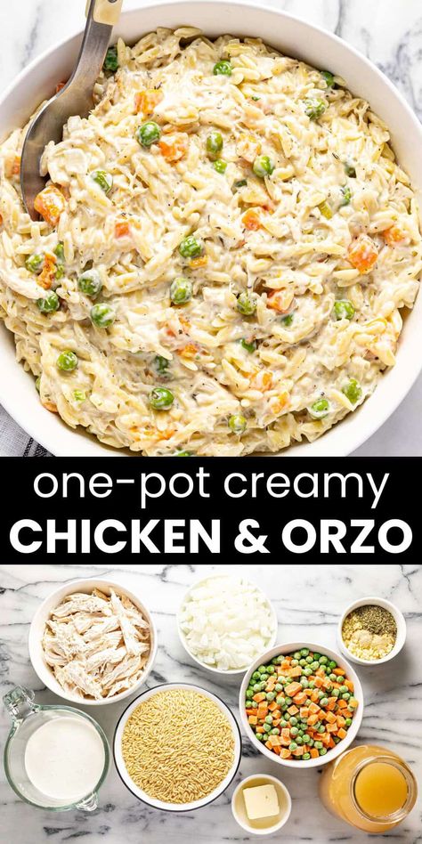 Easy Yummy Healthy Dinners, Easy Healthy Orzo Recipes, Orzo Recipes Crockpot, Shredded Chicken Orzo Recipes, One Pot Dinner Recipes For Family, Soup Recipes With Orzo Pasta, Orzo Freezer Meal, Crock Pot Chicken Orzo Soup, Simple Casserole Recipes Easy Meals