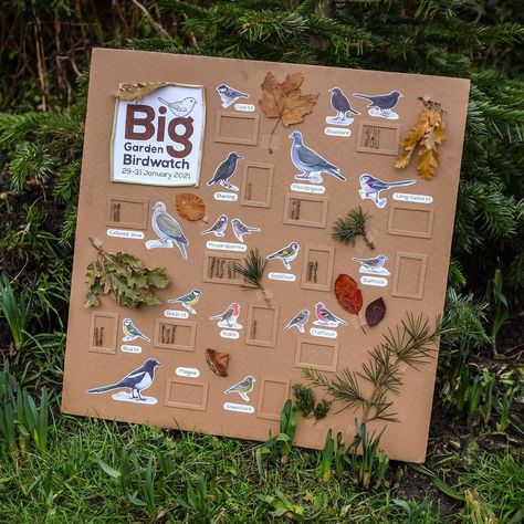 Bird Provocation, Bird Kindergarten, Outdoor Classroom Activities, Bird Activities, Reception Classroom, Homeschool Nature Study, Preschool Rooms, Interactive Exhibition, Kindergarten Design