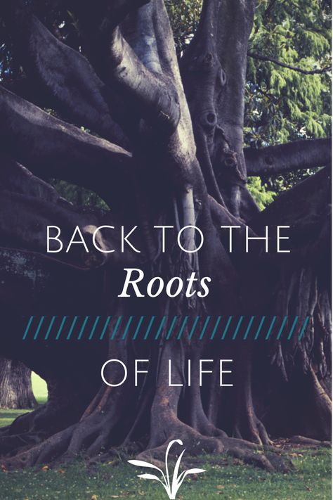 Back to the Roots of Life    http://domesticallyblissful.com/back-to-the-roots-of-life/    #faith #christianity #life Your Roots Quotes, Roots Quotes, Twig Crafts, Spin Doctors, Google Analytics, Book Marketing, Keep Cool, Life Photo, The Roots