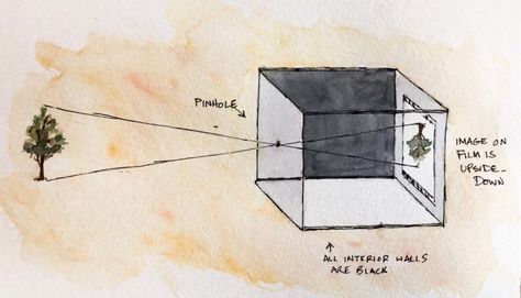 My kids know what a pinhole camera is... AND how to develop it!!!!    diagram of a pinhole camera with ink and watercolor Pinhole Camera Diy, Diy Pinhole Camera, Homeschool Art Projects, Flower Film, Simple Camera, Camera Drawing, Camera Tattoo, Pinhole Camera, Camera Obscura