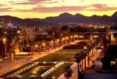 University of Arizona mall at sunset University Of Miami Campus, University Of Arizona Tucson, University Of Arizona Campus, University Of Michigan Logo, University Of Michigan Campus, University Of Hawaii, The University Of Arizona, Going To University, Desert Life