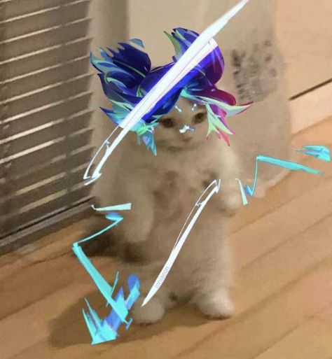 Cat Valorant, Gamer Girl Meme, Standing Cat Pfp, Pfp Valorant, Standing Cat, Girl Meme, Neon Cat, Cat Pfp, Neon Wallpaper