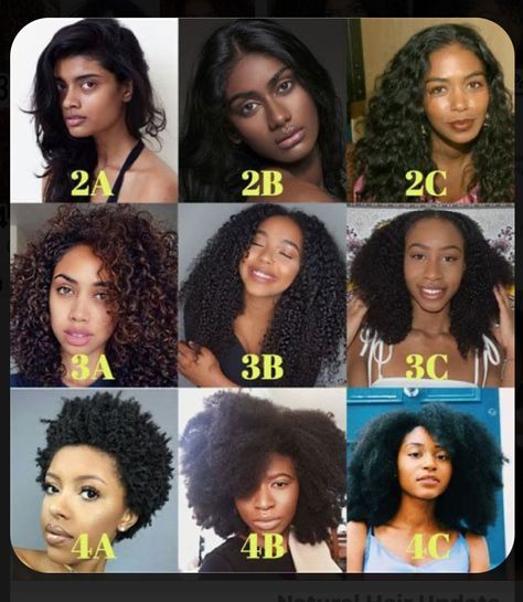 Hair Texture Chart, Hair Type Chart, Hair Types Men, Type 4c Hairstyles, Hair Quiz, Curly Hair Types, Type 4 Hair, 4c Natural, Pelo Afro