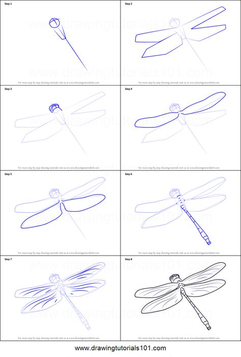 How To Draw Dragonfly, Dragon Fly Drawing Simple, How To Draw A Dragonfly, Dragon Fly Drawings, Draw A Dragonfly, Draw A Dragon, Step By Step Sketches, Dragonfly Drawing, Fly Drawing