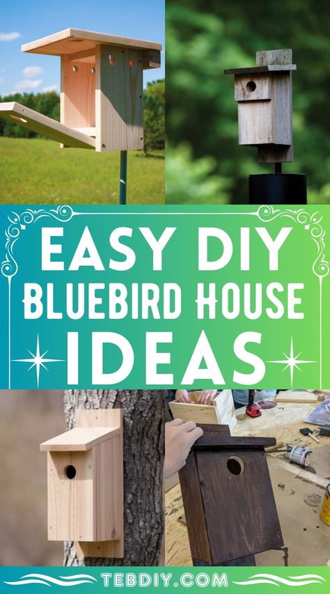 15 How To Build DIY Bluebird House Ideas Blue Bird Houses Plans, Bluebird Houses Diy, Small Bird Houses Diy, Pallet Wood Bird House, How To Make Bird Houses, How To Build A Bird House, Hummingbird House Diy, Diy Bird Houses Ideas How To Make, Easy Bird Houses To Make