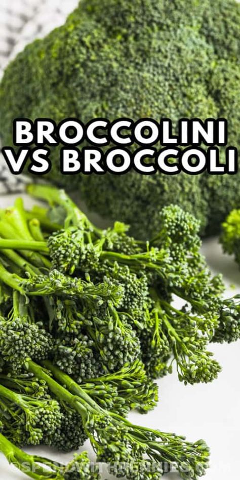 When it comes to broccoli vs. broccolini, the differences aren't huge. Both have benefits, but there is a difference in taste! #spendwithpennies #broccolivsbroccolini #kitchentips #difference #nutrition #broccoliandbroccolini #recipes #benefits #facts #health #taste #florets Brocollini Recipes, Brocolini Recipes, Parmesan Pasta Salad, Easy Broccoli Recipes, Broccolini Recipe, Broccoli Stalk, Garlic Roasted Broccoli, Roasted Broccolini, Parmesan Pasta