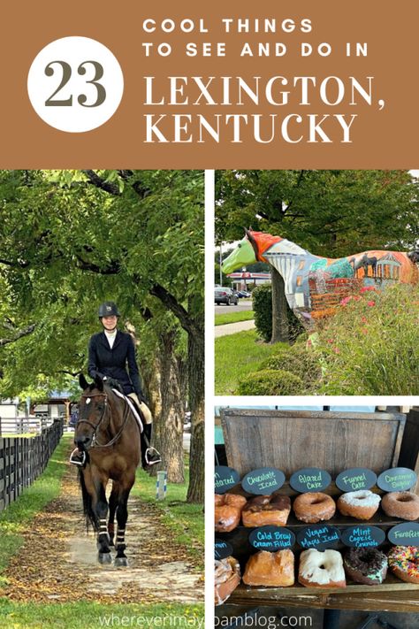 Things To Do Lexington Ky, Lexington Kentucky Things To Do, University Of Kentucky Campus, Pony Finals, Kentucky Vacation, Kentucky Horse Park, Kentucky Bourbon Trail, Kentucky Travel, Usa Destinations