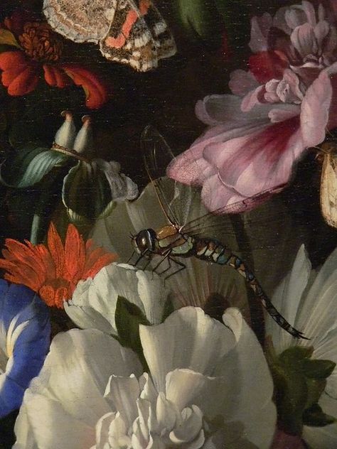 Rachel Ruysch, Painting Of Flowers, Vase Of Flowers, Illustration Botanique, Dutch Painters, Art Et Illustration, Still Life Art, Arte Floral, Still Life Painting