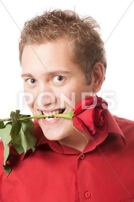 Young man holding a red rose in his mouth Stock Photos #AD ,#holding#red#Young#man Rose In Mouth, Photoshop Png, Photo Reference, Premium Photo, Red Rose, Red Roses, Art Reference, Hold On, Royalty