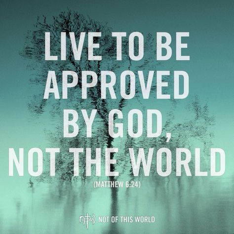 Not the world...- the world will lie to you - and lead you to failure and humiliation. God;s word will tell you how to live, survive and thrive. Body Architecture, God's Blessings, Spiritual Inspiration, Verse Quotes, Faith In God, Faith Quotes, The Words, Word Of God, Spiritual Quotes