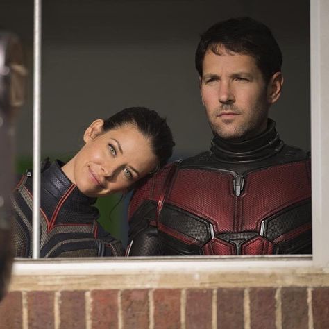 Paul Rudd Ant Man, Ant Man Scott Lang, Marvel Bunch, Hank Pym, Marvel Ships, Marvel Couples, Ant Man And The Wasp, Van Dyne, Antman And The Wasp