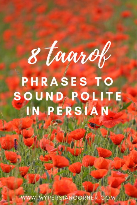 Learning Persian, Language Tree, Learn Farsi, Learn Persian, Iranian Culture, Persian Language, Persian Cuisine, Persian Quotes, Language Proficiency