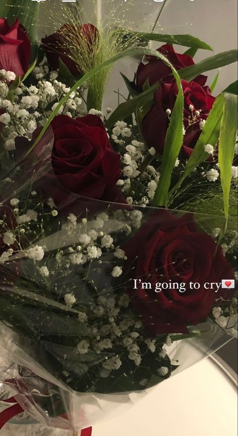 Rose Bouquet Snapchat Story, Fake Bouquet Snapchat, Rose Flower Instagram Story, Flower Bouquet Ig Story, Pictures With Bouquet Of Flowers Instagram, Rose Bouquet Instagram Story, Flower Bouquet From Bf, Red Roses Snapchat, Bouquet Of Flowers Quotes