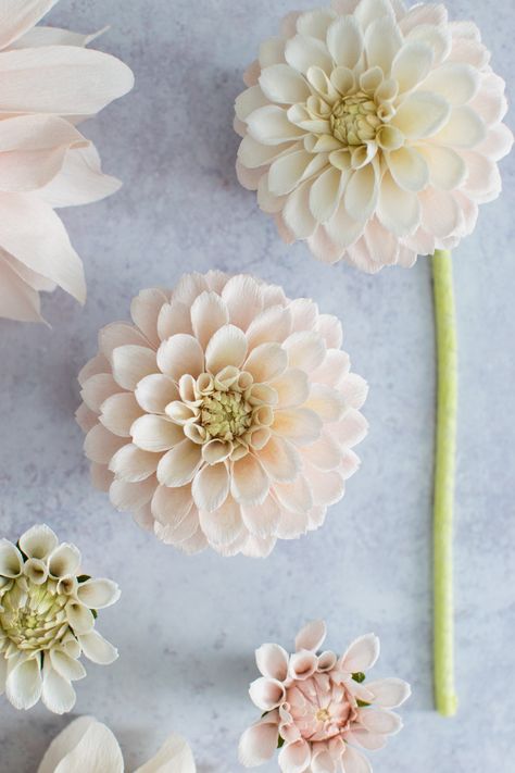 Paper Flower Hanging, Sugarcraft Flowers, Crepe Flowers, Flower Dahlia, Flora Vintage, Crepe Paper Flower, Diy Fleur, Wafer Paper Flowers, Flower Hanging