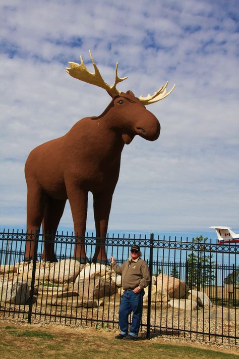 Mac the Moose, in Moose Jaw Saskatchewan Canada All About Canada, Roadside America, Moose Jaw, Saskatchewan Canada, Beautiful Canada, Future Photos, Canada Eh, Canada Road Trip, O Canada