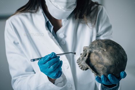 Forensic Science by microgen. Forensic Science in Lab. Forensic Scientist examining skull with evidences #AD #microgen, #Lab, #Forensic, #Science Lab Scientist, Forensic Scientist, Teaching Biology, Forensic Science, The Killers, Science Photos, Organic Chemistry, Science Lab, Human Skull