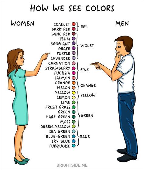 Men vs Women and colors Men Vs Women, Stay Happy, Man Vs, Color Theme, Fun Quotes Funny, English Vocabulary, Riverdale, Anton, Learn English