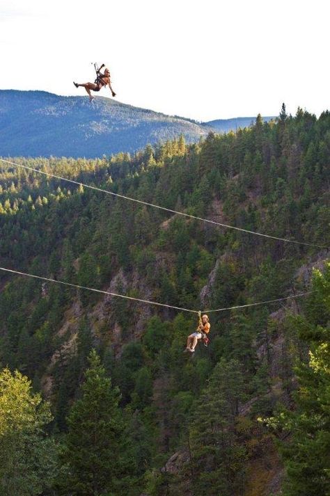 Zip Line Aesthetic, 2024 Moodboard, Zip Lining, Dream Summer, Zip Line, Bad Memories, One Summer, Adventure Park, Summer 24