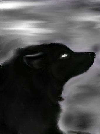 wolf art Kinda reminds me of my character Ridge Demon Wolf, Shadow Wolf, Fantasy Wolf, Wolf Love, Wolf Drawing, Wolf Pictures, Beautiful Wolves, My Uncle, Wolf Spirit