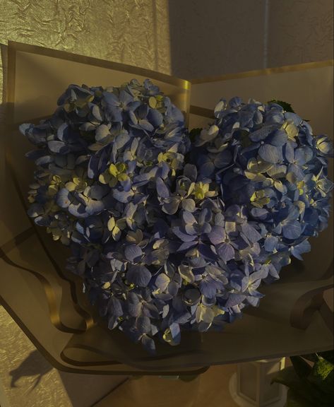 Blue Hyacinth Aesthetic, Purple Hydrangea Aesthetic, Blue Hydrangea Aesthetic, Hydrangea Bouquet Aesthetic, Hydrangeas Aesthetic, Ultraviolence Aesthetic, Hydrangea Aesthetic, Dark Blue Hydrangea, Blue Hydrangea Bouquet