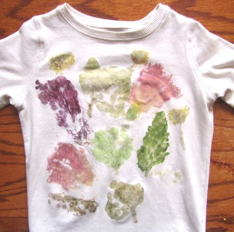 Make Botanical Shirts with Plant Pounding - Green Kid Crafts Hammered Flowers, Dye Clothes, Homeschool Projects, Shirt Tutorial, Homeschool Crafts, Science Crafts, Kids Crafting, Botanical Shirt, Upcycled Crafts