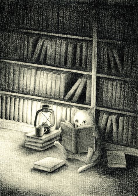 Cat Reading a Book and Cat Library by DeviantArt artist emirkgkn. Cat Reading, A Cat, A Book, Bookcase, Pencil, Reading, Books