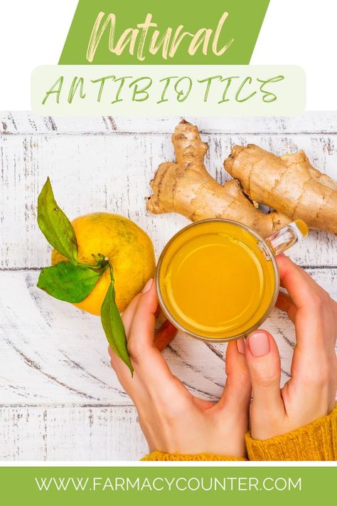 Inflammation Diet Recipes, Home Remedies For Bronchitis, Natural Antibiotic, Improve Nutrition, Healthy Life Hacks, Ear Infections, Strep Throat, Food Poisoning, Natural Antibiotics