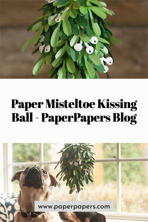 Check out this totally cute craft on our blog on how to make this Paper Mistletoe Kissing Ball by Lia Griffith! https://www.paperpapers.com/news/paper-misteltoe-kissing-ball/ Mistletoe Paper Craft, How To Make A Mistletoe Diy, Giant Mistletoe, Paper Mistletoe, Diy Kissing Ball, Mistletoe Ball, Mistletoe Diy, Kiss Under The Mistletoe, Cute Craft