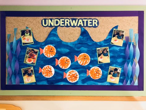 Wonderful Water Unit. Infant Classroom. Underwater Bulletin Board. Paper Plate Fish. Wonderful Waters Theme For Infants, Water Theme Bulletin Board Preschool, Infant Fish Art, Wonderful Waters Theme For Toddlers, Wonderful Water Theme For Preschool, Water Activities For Toddlers Classroom, Water Theme Bulletin Board, Water Bulletin Board Ideas, Wonderful Water Theme For Infants