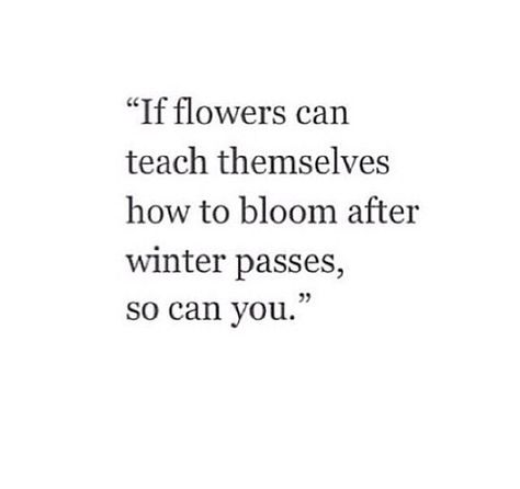 #metaphor #quotes #flowers #motivation Metaphors About Life, Flowers Quotes Love, Flower Quotes Love, Dead Roses, Love My Life Quotes, Similes And Metaphors, Flowers Quotes, Blogging Quotes, Love Thoughts