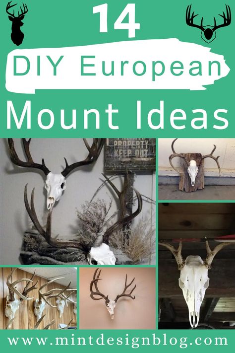 European mount is a clean and simple way to display your trophy head. These amazing DIY European mount ideas will show off your hard-earned prize. European Mounts Ideas Deer Heads, European Deer Skull Mount Ideas, Deer Mount Ideas Decor Living Rooms, Skull Mount Ideas Wall Decor, Elk Mount Living Room, European Deer Mount Ideas Display, Diy European Deer Mount, European Mount Decor, European Mount Display