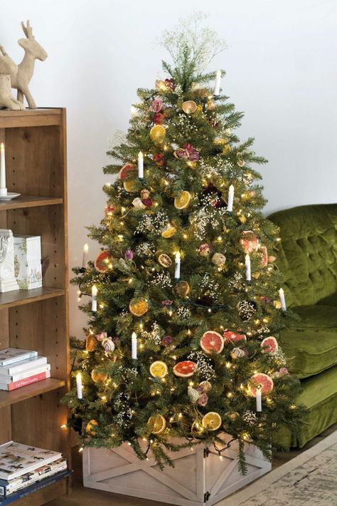 This year, I'm feeling very romantic, old time, vintage Christmas. That extends to a Vintage Christmas Tree, using dried flora and citrus. #vintagechristmas #vintagetree #christmastree 1800s Christmas Tree, Wildflower Christmas Tree, Mediterranean Christmas Tree, Fairycore Christmas Tree, Retro Xmas Tree, Citrus Christmas Tree, Old Timey Christmas Tree, Year Round Christmas Tree, Natural Decorated Christmas Tree