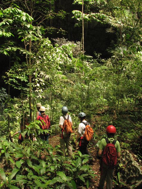 The Jungle Quest Expedition at Ian Anderson's Caves Branch is a four day/three night jungle experience where you are equipped with only a machete and your bushman guide.  Jungle Survival at a premium Jungle Expedition, Pig Man, Belize Jungle, Peru Amazon, Jungle Survival, Night Jungle, Jungle Lodge, Amazon Jungle, Jungle Adventure