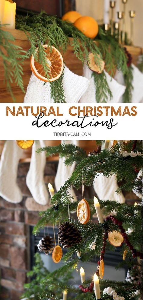 Be inspired to use Natural Christmas Decorations - dried oranges, apples, cranberry strings, popcorn strings, pinecones and fresh greenery. #camitidbits #naturalchristmas #nature #christmasdecoration #popcornstrings Christmas Decorations Natural, Natural Christmas Decorations, Diy Mason Jars, Orange Christmas Tree, Williamsburg Christmas, Red And Gold Christmas Tree, Natural Christmas Decor, Orange Christmas, Minimal Christmas