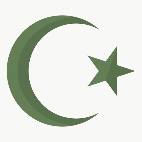 Islam Symbol Aesthetic, Star Symbol Design, Islam Moon, Islam Symbol, Star Symbol, Pakistan Flag, Crescent Moon And Star, Winter Wreaths, Symbol Design