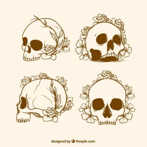 Skull With Plants Drawing, Skull Illustration Simple, Skull Flower Illustration, Human Skull Illustration, Skull With Flowers Growing Out Of It, Skull Flowers Drawing, Skull And Flower Drawing, Skull Flower Drawing, Skull With Flowers Drawing