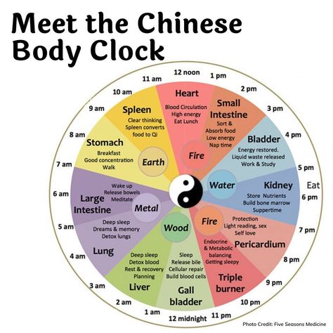 "Meet The Chinese Body Clock: Is This Why You're Waking Up At Night?" The linked article is introductory. If you want to dig more deeply into the topic, check out the longer article on the @fiveseasonsmedicine website. https://thechalkboardmag.com/chinese-body-clock-waking-up-at-night Waking Up At 1am Meaning, Chinese Body Clock, Body Clock, 24 Hour Clock, Yoga Information, Health Tools, Healing Journaling, Clear Thinking, Migraine Headaches