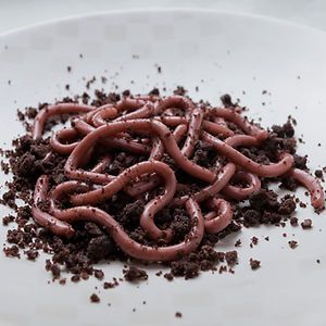 Raspberry Jello Worms On A Bed Of Chocolate Doughnut Crumbs and 19 other Halloween Snacks that look disgusting but taste great. Jello Worms, Gross Halloween Foods, Snack Halloween, Buffet Halloween, Scary Halloween Food, Creepy Food, Creepy Halloween Party, Scary Food, Creepy Halloween Food