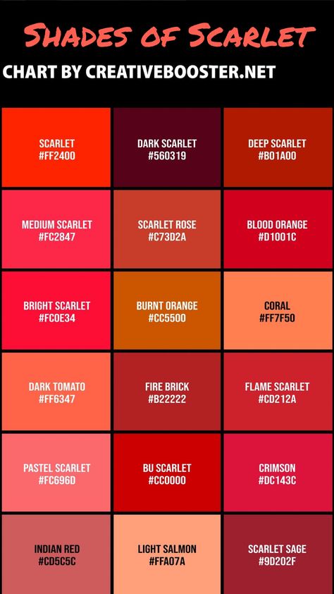 Types Of Red Color, Red Shades Colour Palettes, Shades Of Red Names, Color Names Chart, All Colours Name, Rgb Color Codes, Christmas Color Palette, Create Color Palette, Web Colors