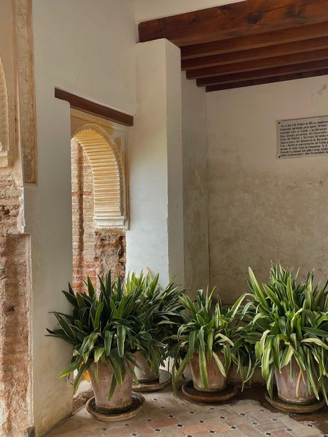 Mediterranean aesthetic, Spain, España, Green scenery, Green plant pots, Summer Mediterranean Castle, Minimalist Mediterranean, Spanish Aesthetic, Spanish Castle, Aesthetic Spain, Mediterranean Aesthetic, Photo Mood, Castle On The Hill, Green Scenery