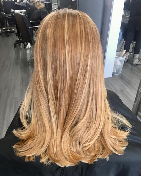 Blonde Hair On Red Hair, Golden Blonde With Copper Lowlights, Light Ginger With Highlights, Copper Blonde With Highlights, Cooper Highlights On Blonde Hair, Strawberry Blonde Haircut, Honey Blonde Copper Hair, Copper Blonde Hair With Highlights, Blonde Hair Ginger Highlights