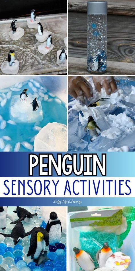 Penguin Sensory Activities Arctic Animals Science Experiment, Artic Animal Pre K Activities, Penguin Learning Activities Preschool, Arctic Activities For Preschool, Arctic Eyfs Activities, Feed The Penguin Preschool, Penguin Sensory Activity, Penguin Science Preschool, Cold Weather Animals Preschool