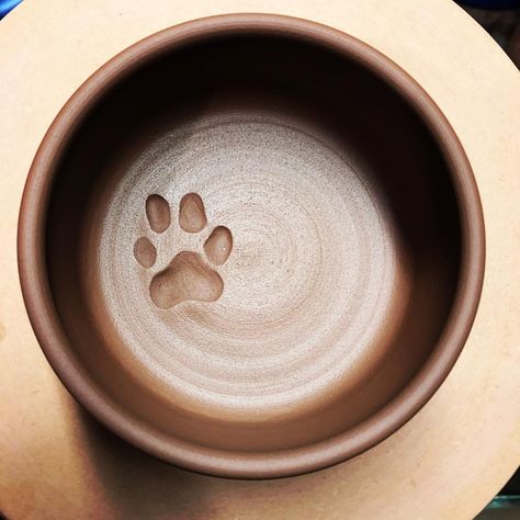 Making some custom dog dishes with a very purposeful #cairnterrier print 😁 #redclay #dogbowl Dog Bowls Pottery Ideas, Diy Ceramic Dog Bowl, Dog Bowl Ceramic Pottery, Dog Plate Ceramic, Dog Ceramic Ideas, Dog Pottery Ideas, Pottery Dog Bowl Ideas, Ceramic Dog Bowls Pottery, Ceramic Key Bowl