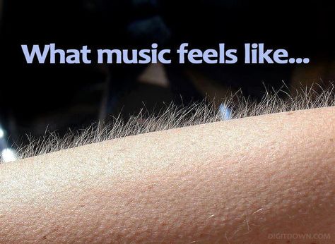 Chills Pentatonix, I'm With The Band, Phantom Of The Opera, A Song Of Ice And Fire, When You Know, Music Love, Music Is, Music Stuff, Music Quotes