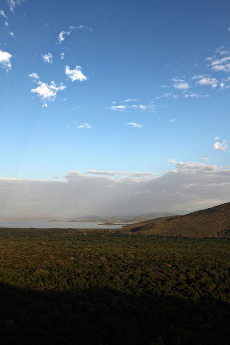 Arba Minch Ethiopia, Ethiopian Landscape, Ethiopia Travel, Travel Culture, Africa Travel, Culture Travel, Amazing Nature, Ethiopia, Beautiful World