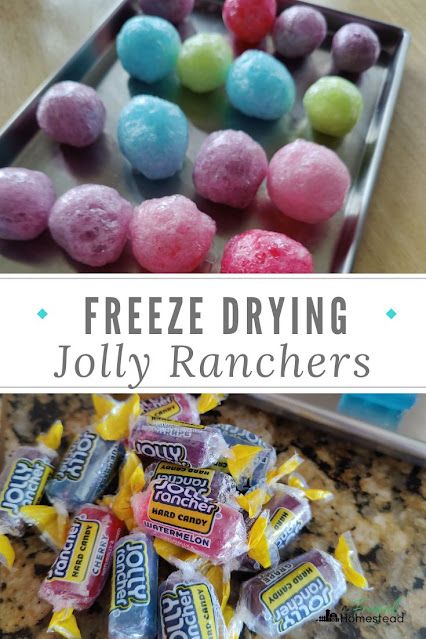 Freeze Dried Jolly Ranchers Recipe, How To Freeze Dry Jolly Ranchers, Freeze Dried Valentine Candy, Freeze Dried Candy In Air Fryer, Freezer Dry Candy, How To Freeze Dry Marshmallows, Selling Freeze Dried Food, Dehydrator Candy, Freeze Drying Candy Recipes